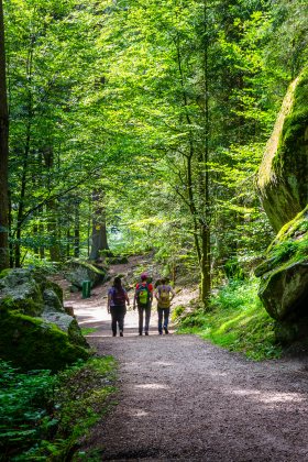 Wandelen In Het Teutoburgerwoud | Op Pad