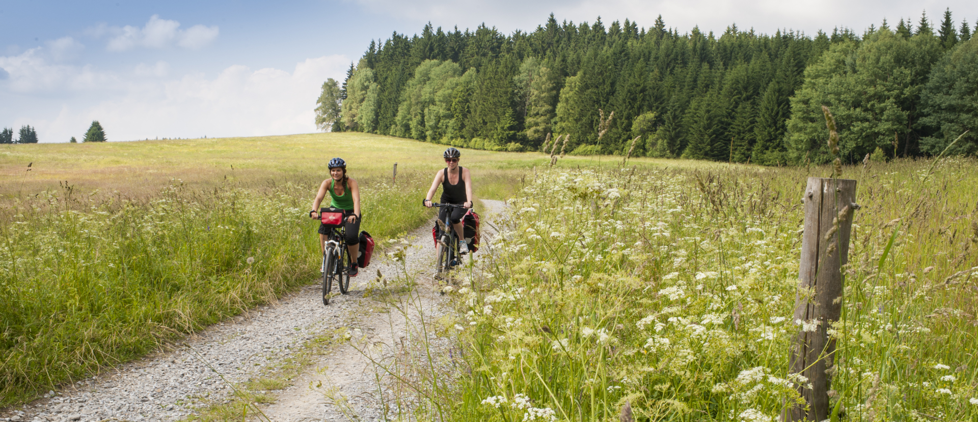 Fietsroute Šumava Magistrala door Boheemse Woud