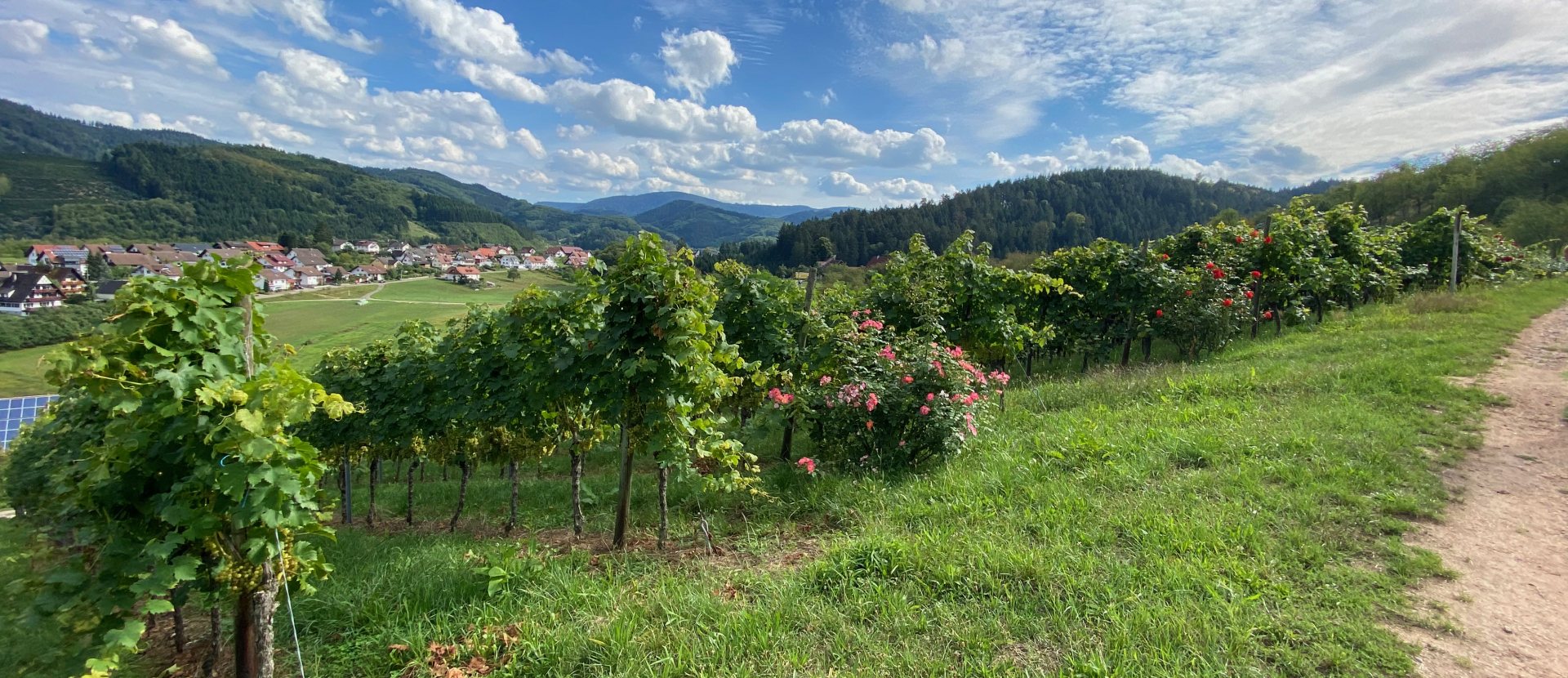 Oberkircher Brennersteig Zwarte Woud