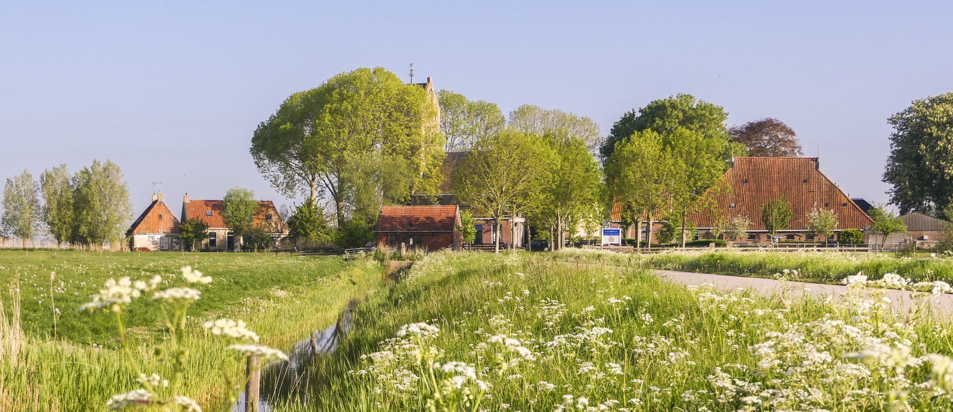 Friese Terpen