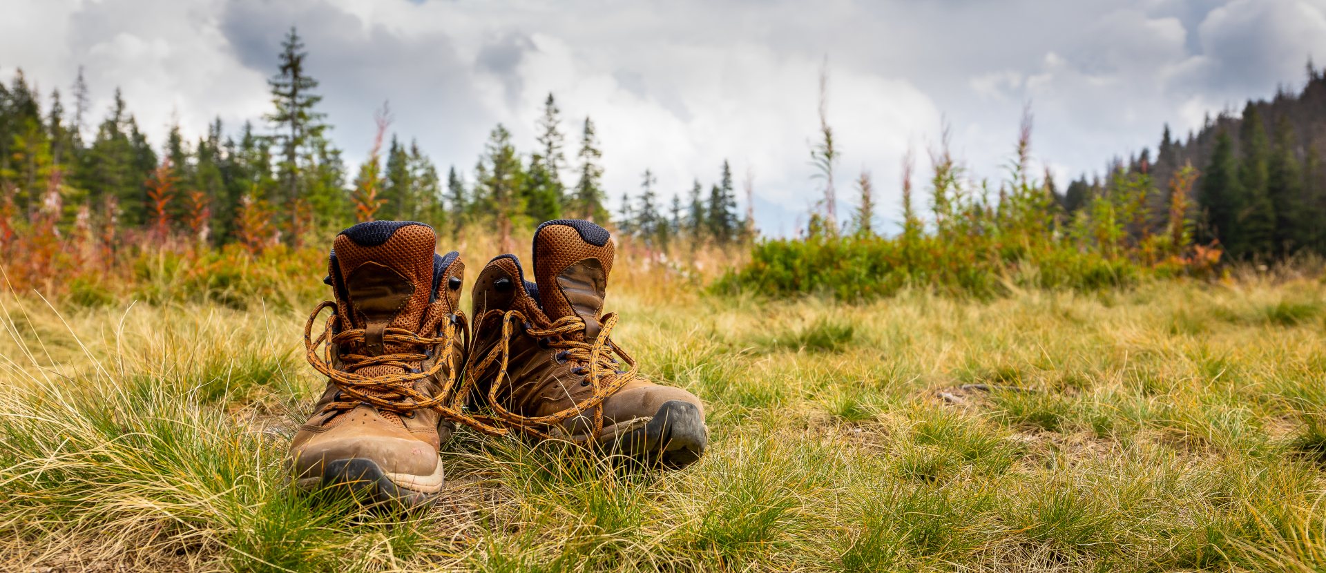 Wandelschoenen best sale te groot