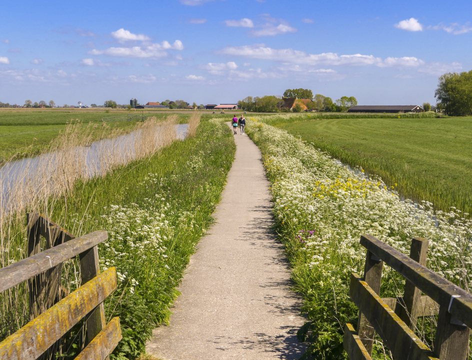 Friese Terpen