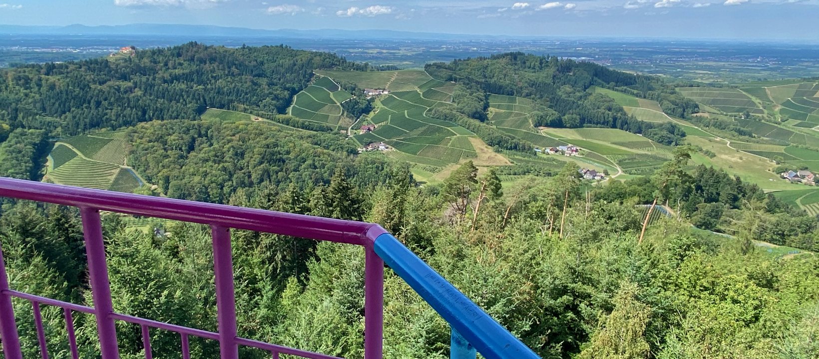 Oberkircher Brennersteig Zwarte Woud