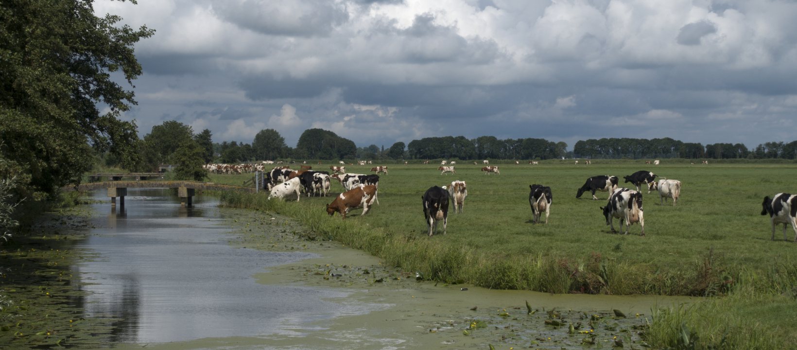 De Krimpenerwaard