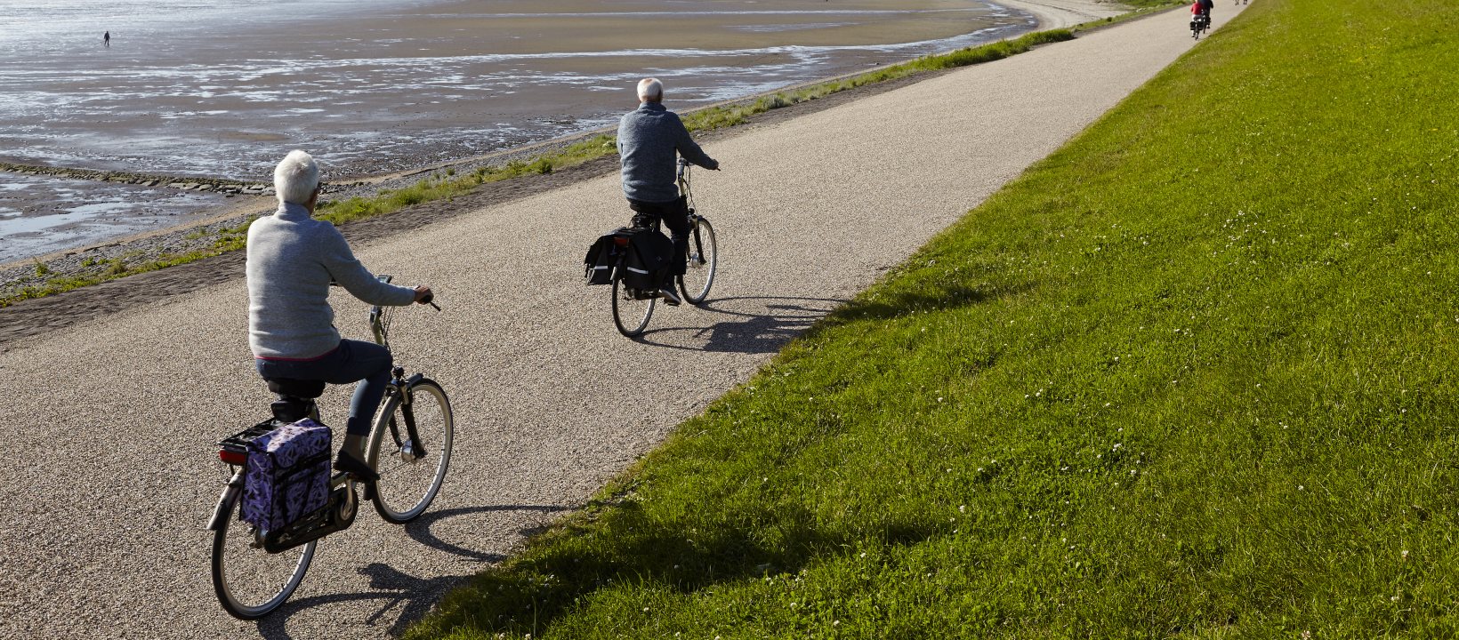 fietsen in Friesland