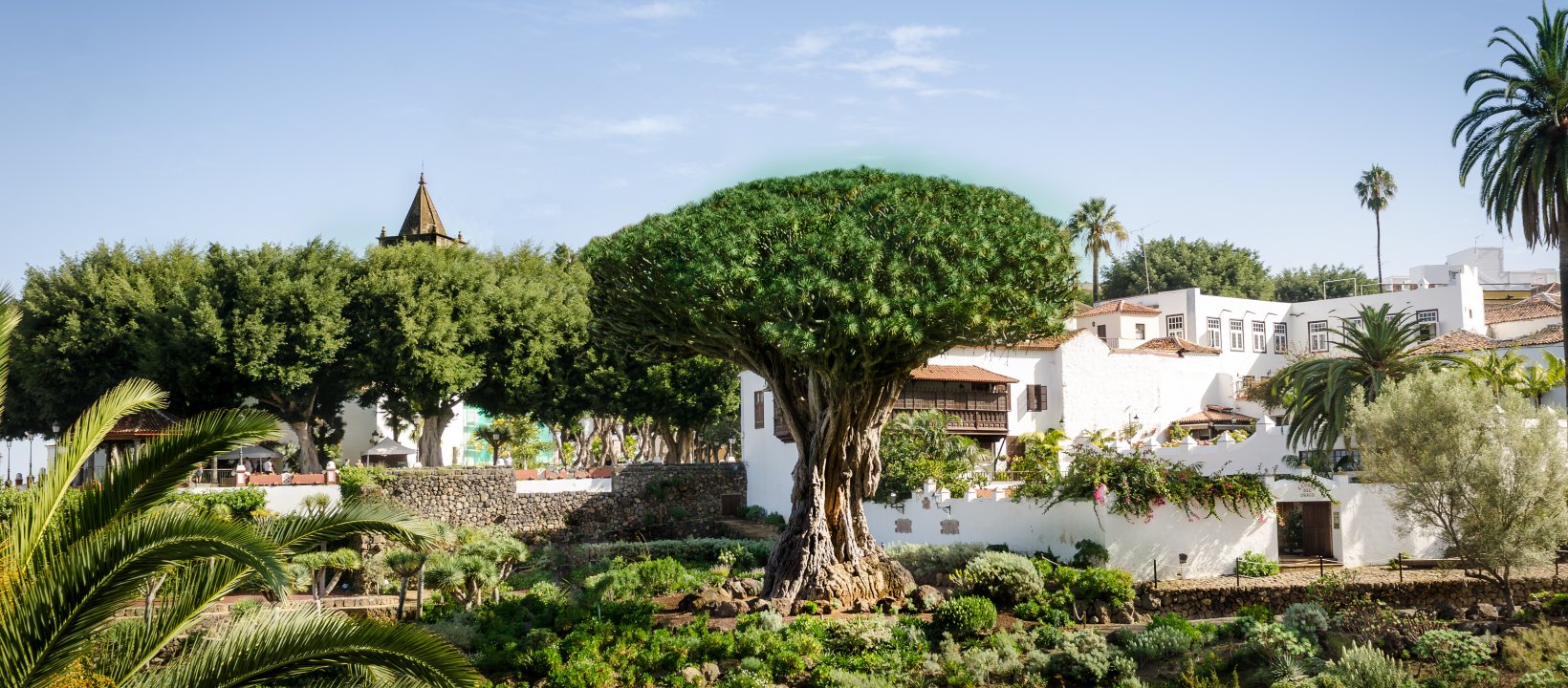 Dorpje Tenerife