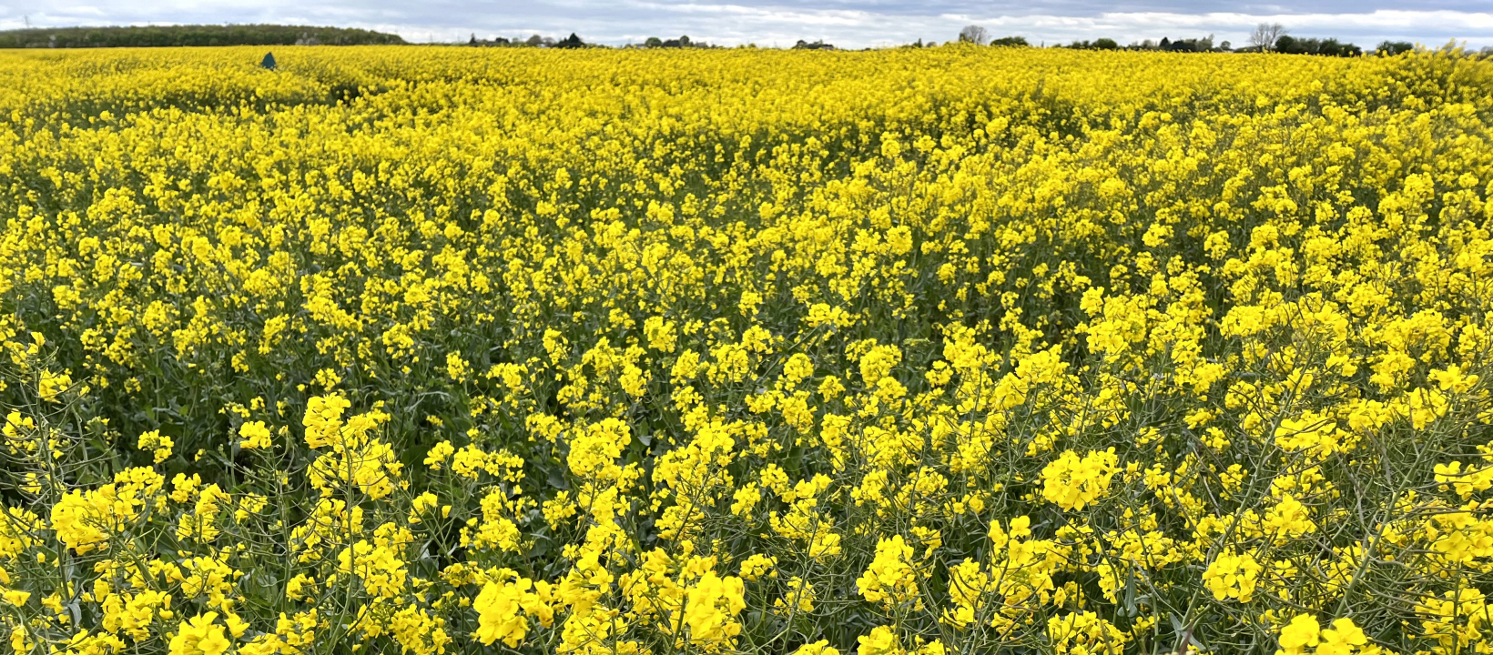 Fietsen Lincolnshire