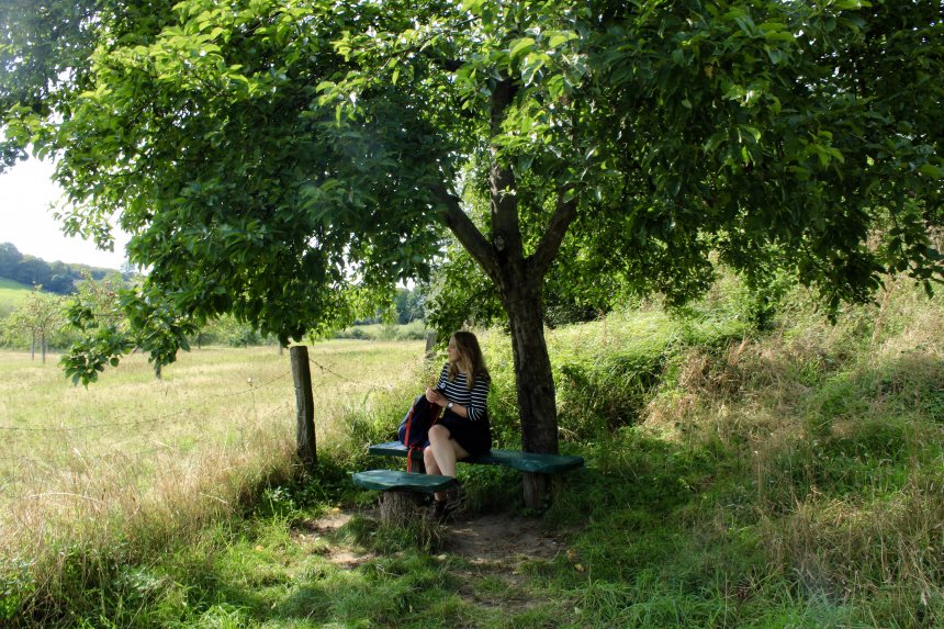 Wandelen In Het Teutoburgerwoud | Op Pad