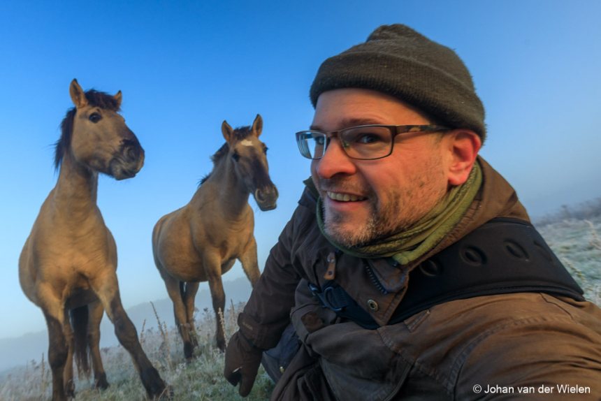 Selfie met paarden