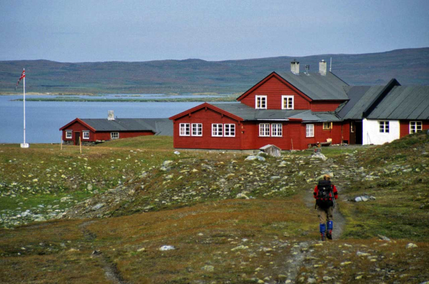 3787-1-600x398.jpg 3787