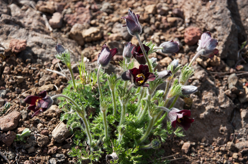 Auvergne-24-600x398.jpg Auvergne-24