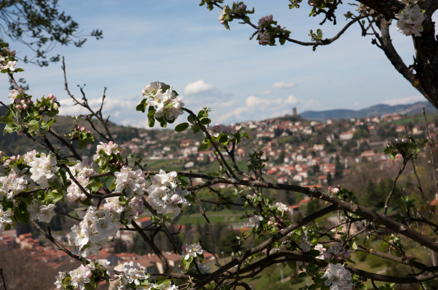 Auvergne-4-600x398.jpg Auvergne-4