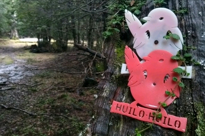 Claire-Leenen-deel-1-600x398.jpg Claire-Leenen-deel-1-600x398.jpg