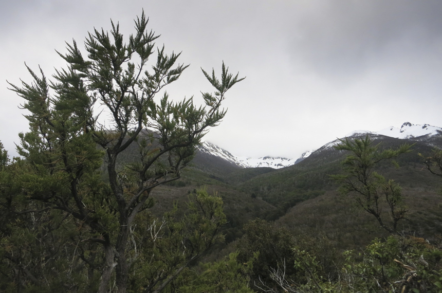greater-patagonian-trail-3-600x398.jpg greater-patagonian-trail-3-600x398.jpg